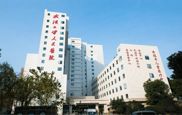 武汉大学人民医院试管费用约3-8万