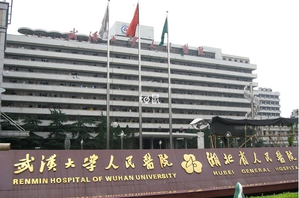 武汉大学人民医院试管成功率比较高