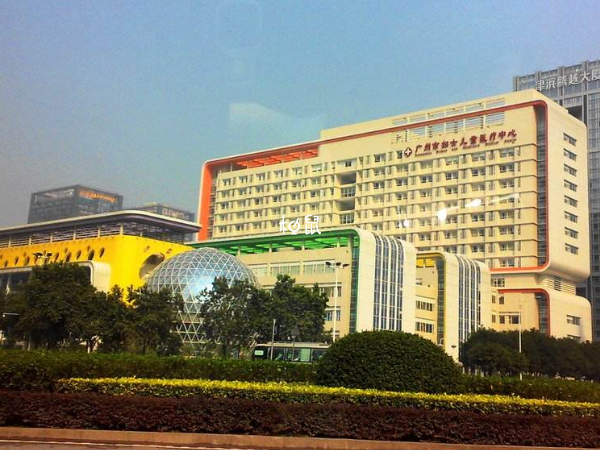 广州妇幼保健院试管成功率一览