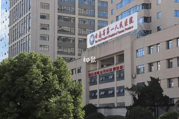 云南省第一人民医院人授费用约5千到一万