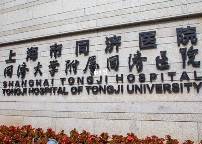上海没有医院能做单身试管
