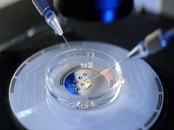 三代试管筛查没有可用胚胎是正常的
