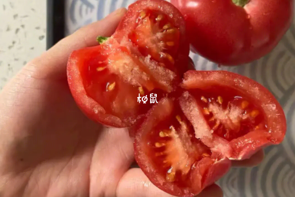 增加y精子可以吃番茄