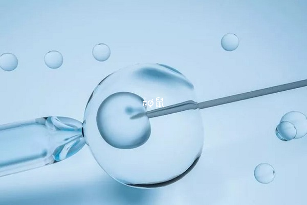 二代试管是可以移植两个胚胎