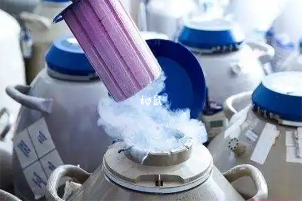 试管冻精和鲜精都能用于胚胎培育
