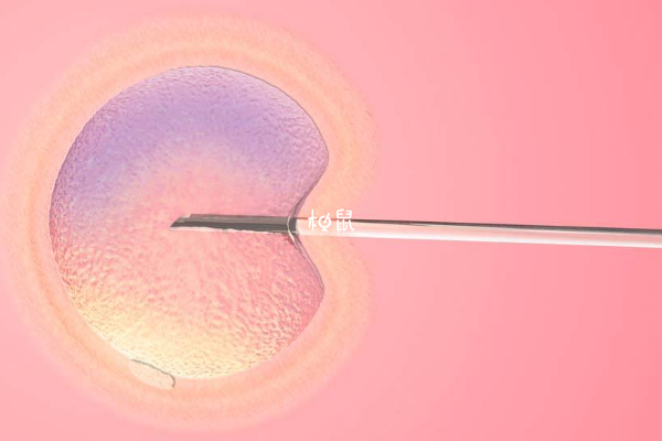 3cb囊胚的质量
