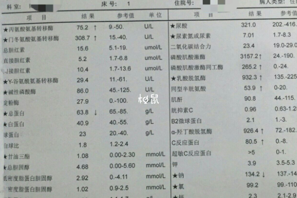 试管血脂低不正常