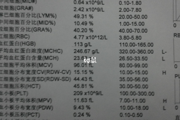 六个月宝宝贫血因为摄入不足