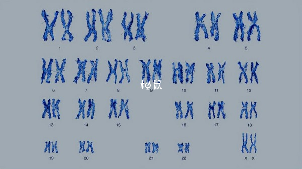 男生y染色体异常表现症状不同