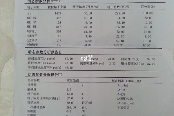 精子活力强容易导致不孕不育