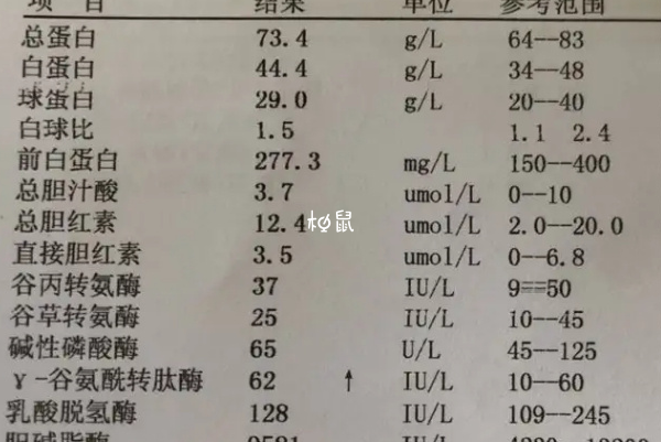 孕期转氨酶高可以自愈