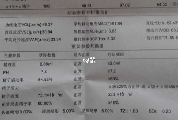 精囊炎可能导致不孕不育