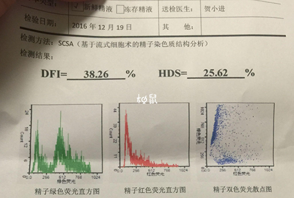 精子碎片率高可能会胎停