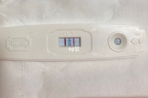 囊胚移植六天有浅印可能成功