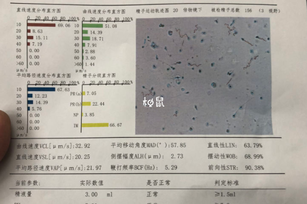 改善营养状况可以提高精子质量