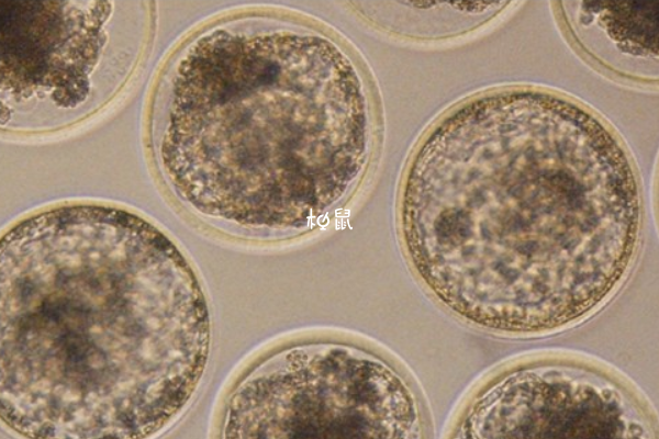 哮喘患者做三代试可以成功