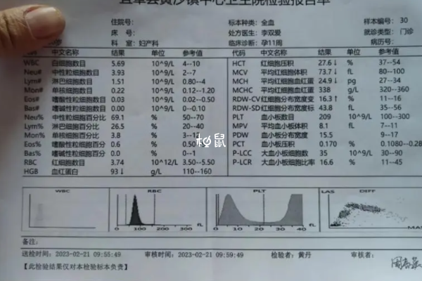 地中海贫血可以做三代试管