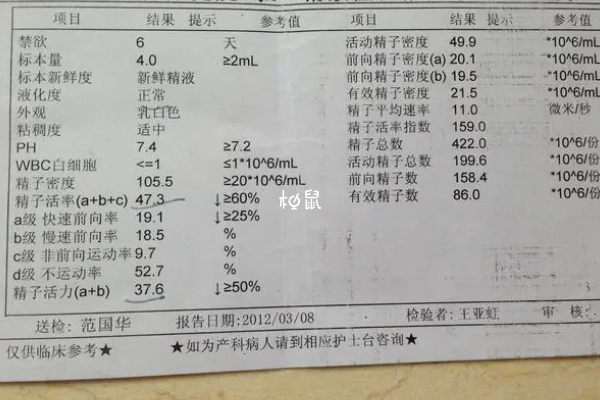 死精症能不能做人工授精要看情况