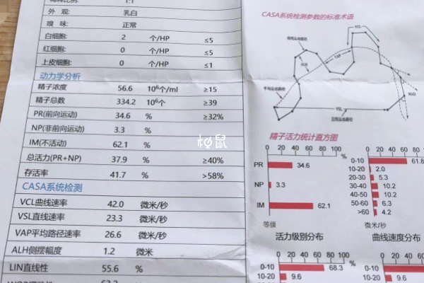 男性少精症要做泌尿生殖器检查