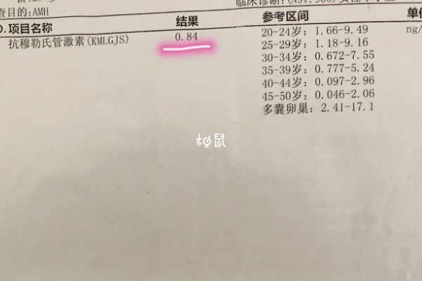 amh低于多少建议试管没有具体标准