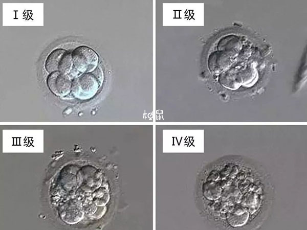 试管失败两次是否继续要看情况