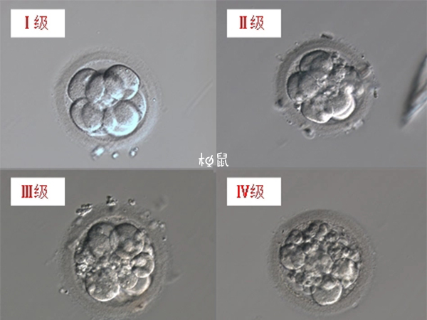 胚胎移植半个月后失败可能是质量不好