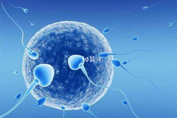 5个鲜胚养囊的成功率各有不同