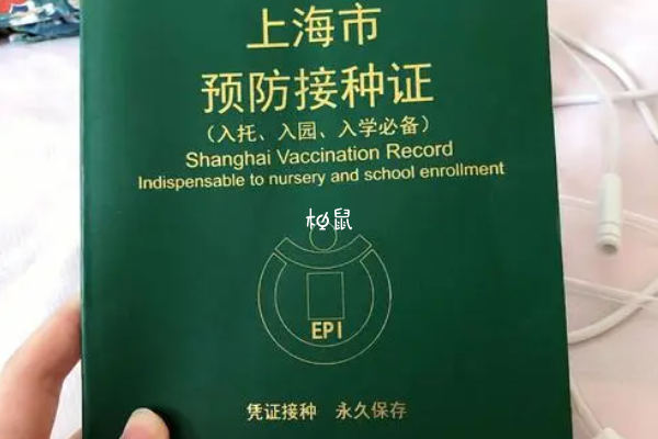 上海疫苗接种证丢了可以网上补办