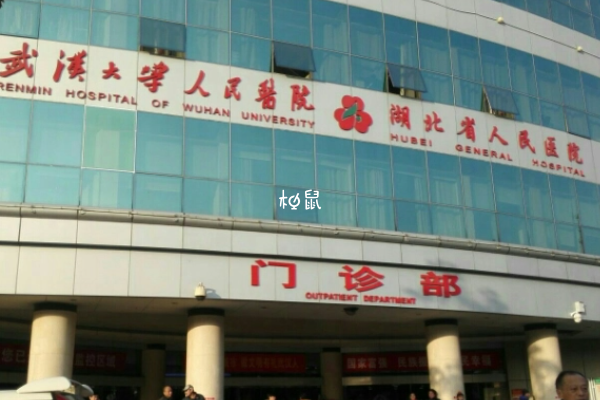 武汉大学人民医院试管婴儿排名情况很不错