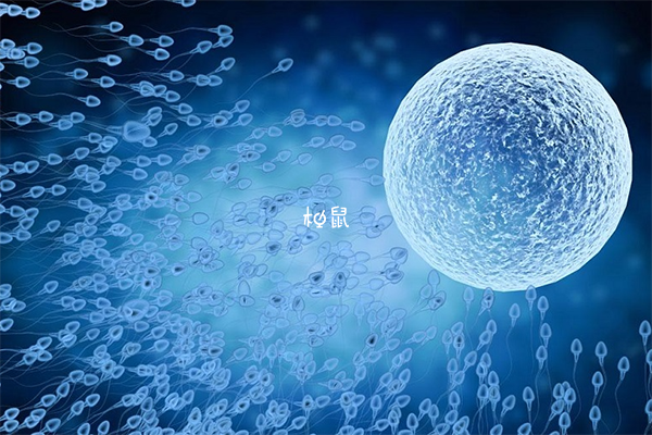 4CC级别囊胚也是可以移植的