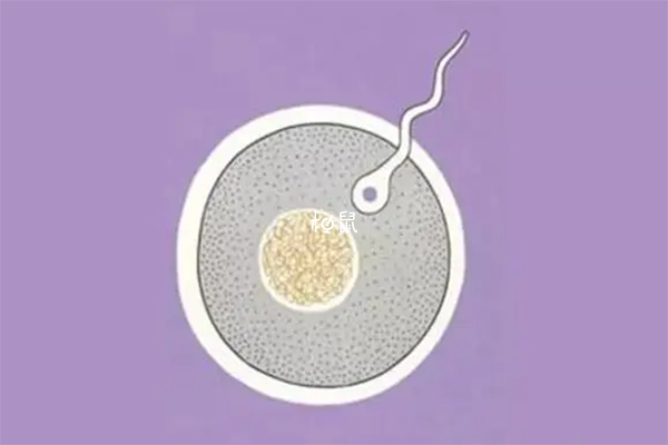 兰大一院胚胎移植收费标准公布，冻胚、鲜胚价格不同