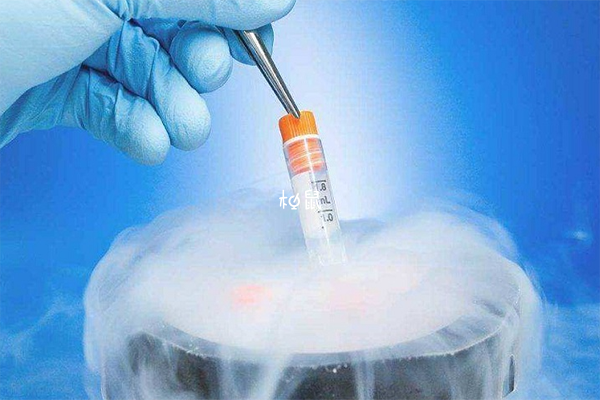 兰大一院冷冻胚胎保存费用明细，一年收费不到2000元