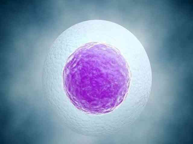 黄体期促排卵子质量高吗？