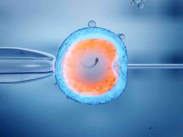 胚胎质量差还要继续试管吗？