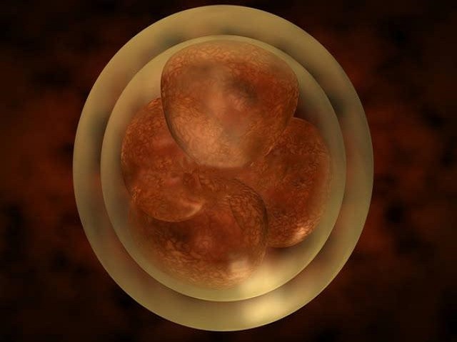 胚胎等级会决定孩子的质量吗？