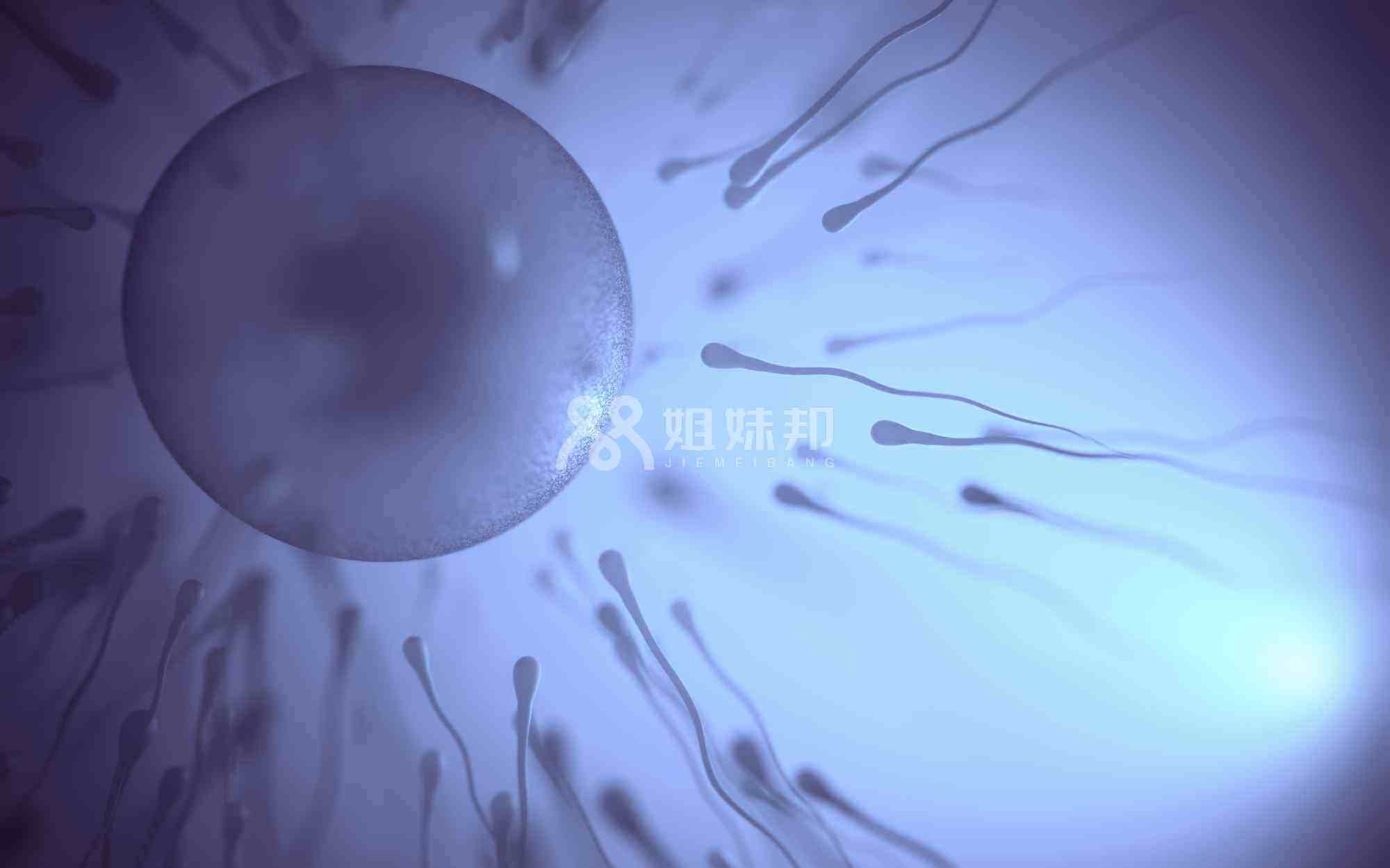 广州做供精人工授精的流程及费用是多少？