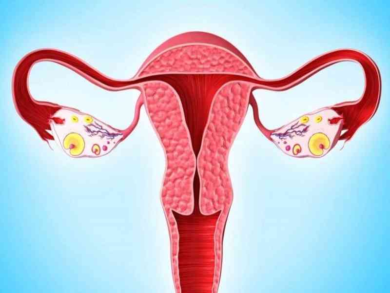 24岁卵巢早衰不用治的原因是什么？