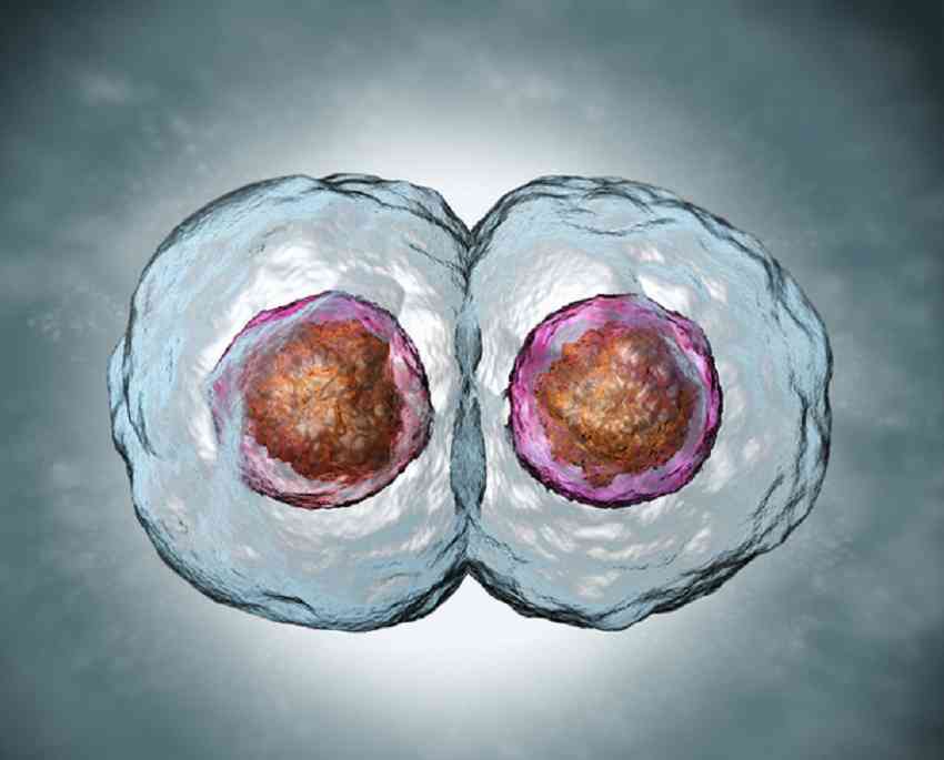 囊胚移植后几天验孕最准？