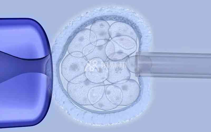 为什么三代试管5个囊胚筛查会异常？