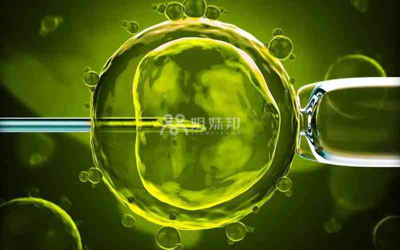 三代试管10个囊胚能筛出几个胚胎？