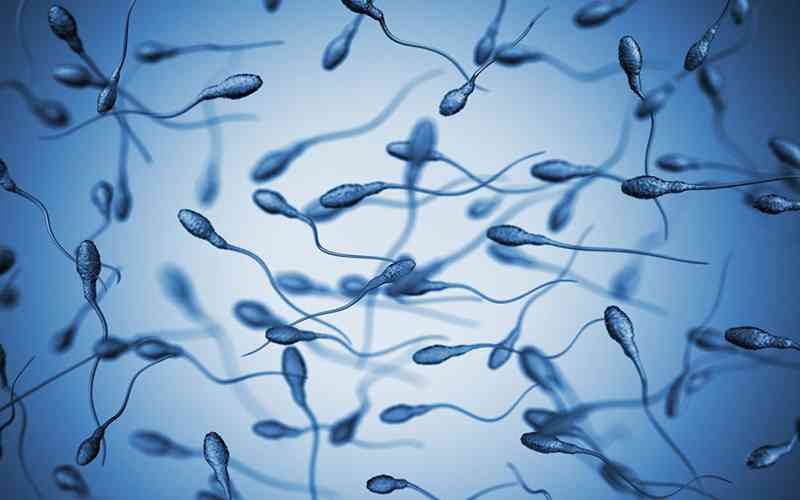 男性怎么向精子库捐献精子？