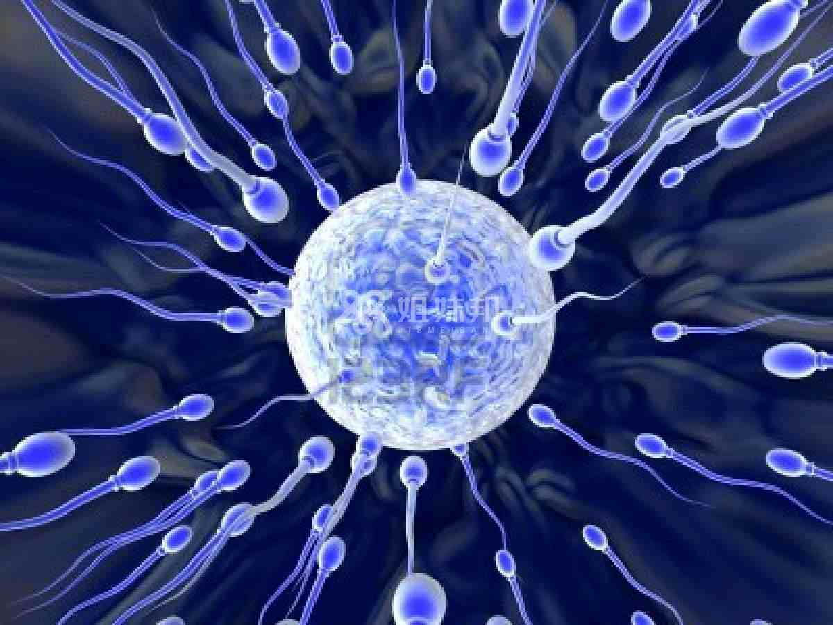 y精子寿命比x精子短是不是真的？
