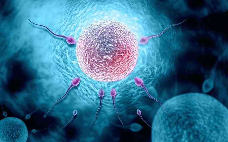 多囊卵巢做几代试管婴儿比较好？