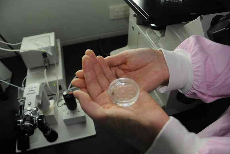 北京协和医院三代胚胎筛查多少钱？