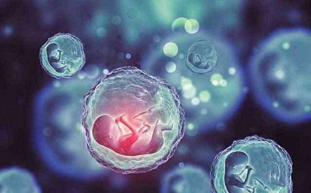 试管婴儿移植后便秘对胚胎有什么影响？