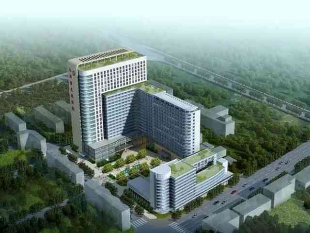 泰国试管成功率医院排名最新？