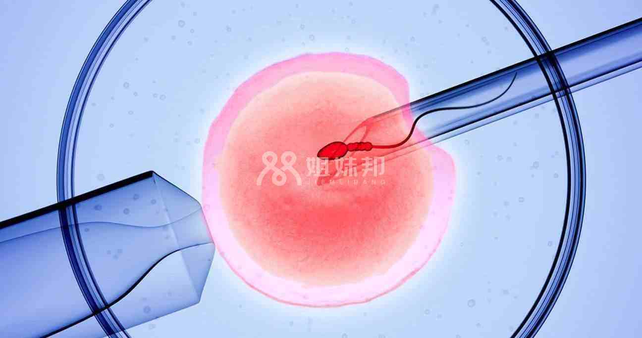 广州妇儿中心做供卵试管要多少钱？