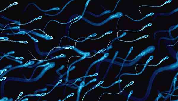 男性检查精子质量怎么做？