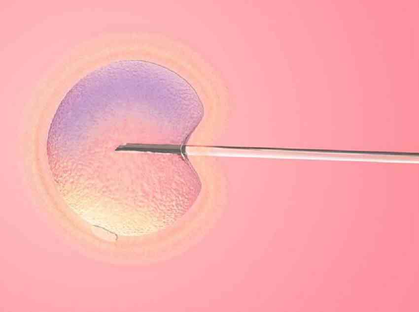卵巢早衰做试管一般几次能成功？