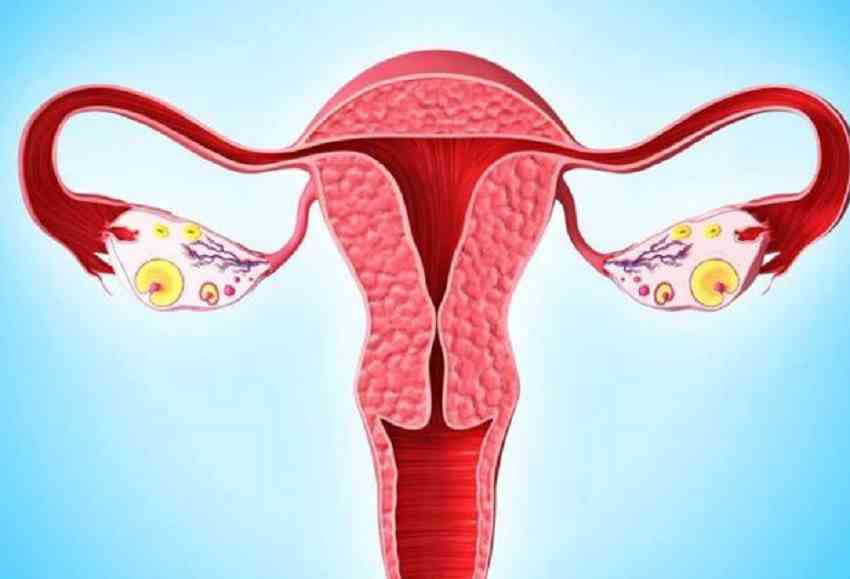 卵巢早衰的原因有哪些？